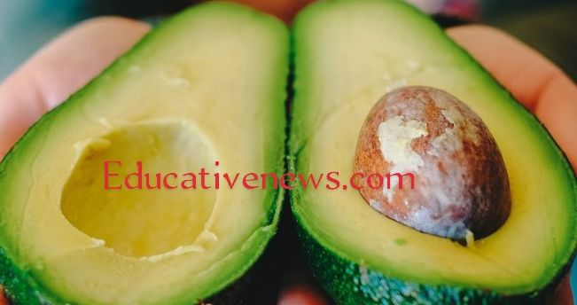 Effect of avocado on vision