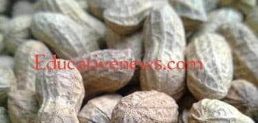 Effect of groundnuts on diabetes